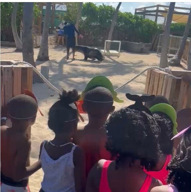 A B C Palace class on a field trip